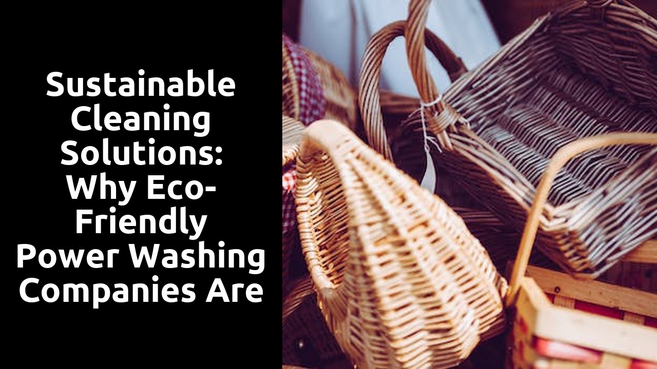 Sustainable Cleaning Solutions: Why Eco-Friendly Power Washing Companies Are Gaining Popularity
